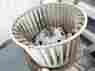 52452767-01y3069 01y3069 Delco Vintage 70s 80s Chevy Elcamino Malibu Blower Motor Fan Reel 52452767-01y3069 01y3069 Delco Vintage 70s 80s Chevy Elcamino Malibu Blower Motor Fan Reel