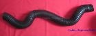 3rd4764 Unbranded 1946 1966 Cadillac 3rd4764 Unbranded 1946 1966 Cadillac