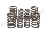 Triumph TR6 T110 Valve Spring Set CP5 70-1487 70-1488 99-3700. Fixed Price $29.88.