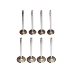 VK8448 Exhaust Intake Valve Kit 1995-2001 Ford Mazda B2300 B2500 Ranger. Fixed Price $109.48.