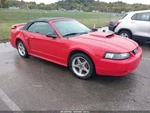 Used A/c Condenser Fits: 2003 Ford Mustang 6 Cylinder Grade. Fixed Price $174.90.