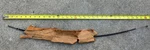 Vtg Oem 1965-1966 Ford Mustang Heater Control Cable, Nos C5ZZ-18552-A. Fixed Price $29.99.