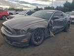 Used A/c Condenser Fits: 2014 Ford Mustang Grade. Fixed Price $134.00.