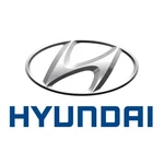 Genuine Hyundai Heat Exchanger 25670-GI000. Fixed Price $751.66.