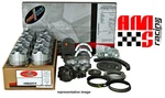 Engine Rebuild Kit W/ Flat Top Pistons For 1967-1985 Chevrolet Gmc 350 5.7L. Fixed Price $298.99.