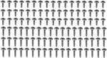40 Chrome Interior Screws! Fits Gm Bel Air Impala Biscayne C10 Cadillac Olds Etc. Fixed Price $38.00.