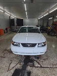 Used A/c Condenser Fits: 2003 Ford Mustang 6 Cylinder Grade. Fixed Price $120.90.