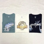 Jurassic Park Dinosaur Tops T-shirts Kids Children's Clothing 110 100. Fixed Price $29.00.