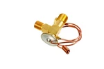 Jaguar XJ6 XJ12 Daimler Air Conditioning Expansion Valve CAC2423. Fixed Price $55.43.