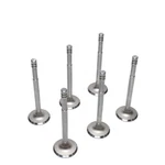 Intake Valves 1942-1959 Dodge 218 230 L6 6-CYLINDER New 43 44 45 46 47 48. Fixed Price $107.94.