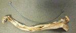 Nos 1973-1979 Ford F100 F250 F350 Heater Air Cable D3TZ-18552-A. Fixed Price $99.99.